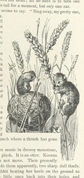 British Library digitised image from page 53 of "Kenneth McAlpine: a tale of mountain, moorland, and sea"