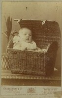 Watson or Playfair family baby in a basket, ca. 1885 / photographer Charlemont & Co., Royal Arcade, Sydney