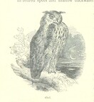 British Library digitised image from page 188 of "The Thames from its Source to the Sea ... Illustrated with ... engravings ... and ... etchings, etc"