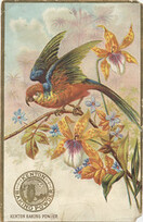 Kenton Baking Powder