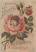 E.W. Hoyt & Co. (Proprietors)