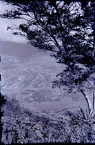 CAL13079.JPG
