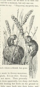 British Library digitised image from page 53 of "Kenneth McAlpine: a tale of mountain, moorland, and sea"
