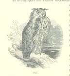 British Library digitised image from page 188 of "The Thames from its Source to the Sea ... Illustrated with ... engravings ... and ... etchings, etc"