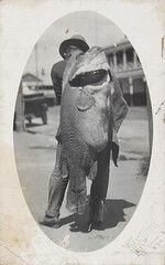 Murray River Cod Postcard