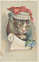 Williamson Corset and Brace Co.