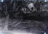 CAL15611.JPG