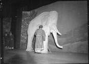 Man in costume with [elephant] stage prop n.d.