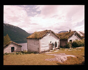 Farm in JÃ¸lster, Norway