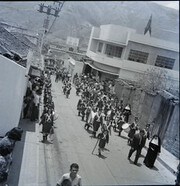 CAL15459.JPG
