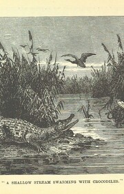 British Library digitised image from page 143 of "Round Africa ... Second edition"