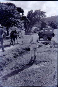CAL13084.JPG
