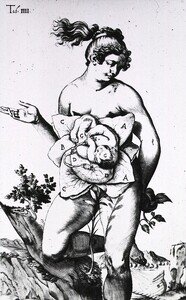 Development of the fetus