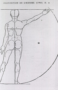 Anatomy - Artistic: Illustrations on Correct Proportions of Human Anatomy