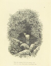 British Library digitised image from page 8 of "The Dawning Grey ... With illustrations by the author [Verses.]"