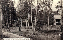 Cabins at Birch Lodge 1952