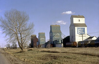United Grain Growers and Alberta Wheat Pool grain elevators, with train cars in front, in Mannville, Alberta