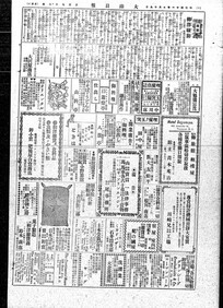 The Continental News