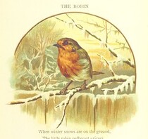 British Library digitised image from page 51 of "Nursery Songs [Edited and] illustrated by J. Hall"