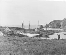 A farewell to Eireann