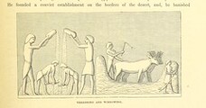British Library digitised image from page 291 of "Popular History of Egypt. ... (The Egyptian War.) Illustrated, etc"
