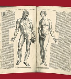 Externarvm hvmani corporis sedivm partivmve