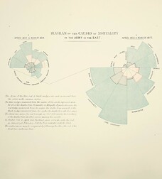 Diagram of the causes of mortality in the Army in the East