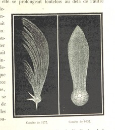British Library digitised image from page 305 of "L'Espace cÃ©leste et la nature tropicale, description physique de l'univers ... prÃ©face de M. Babinet, dessins de Yan' Dargent"