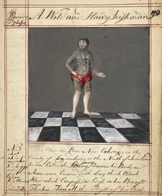 Drawings of Human Prodigies - caption: 'Drawing of a wild and hairy Irishman, born near Coleraine, Ireland; with text'