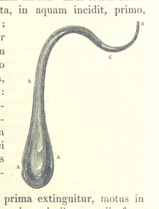 British Library digitised image from page 355 of "ThomÃ¦ Hobbes Malmesburiensis opera philosophica quÃ¦ Latine scripsit omnia in unum corpus nunc primum collecta studio et labore Gulielmi Molesworth"