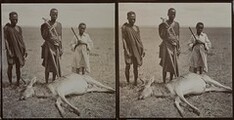 Three young men stand over an antelope carcass on a study trip in Makamba in June 1909.