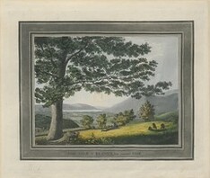 The BL Kingâ€™s Topographical Collection: "THE VALE of KESWICK from Derwent PARK. "