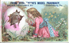 Stephenson's Model Pharmacy