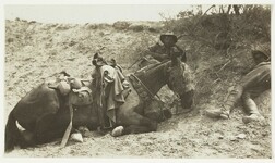 Tired man & horse. This man, Nicholls of Leichhardt, Sydney, was killed 2 hours after the photo was taken, by a bomb dropped from one of 17 Turkish aeroplanes, on 2nd May, Es Salt stunt  by J.F. Smith of the 7th Light Horse in Egypt and Palestine, c. 1914