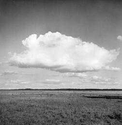 Store Mosse ("Vast Bog"), KÃ¤vsjÃ¶, SmÃ¥land, Sweden