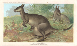 Arbuckle Bros. Coffee Company