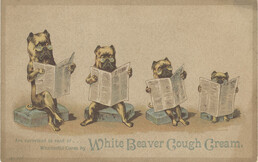 T.H. Spence (Manufacturer and Proprietor)