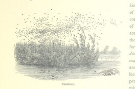 British Library digitised image from page 191 of "The Thames from its Source to the Sea ... Illustrated with ... engravings ... and ... etchings, etc"