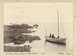 Scene near Boat Harbour - Table Cape (c1890)