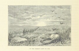 British Library digitised image from page 314 of "Cassell's History of the War in the Soudan"