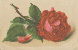 Woolson Spice Co. (Manufacturers)