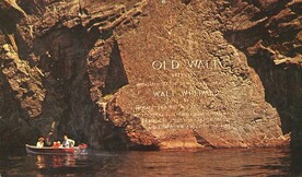 Old Walt Postcard