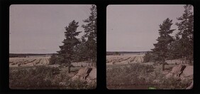 Max Neuscheller d1970_11_7