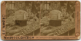Stereograph of giant squash at Columbian Exposition, 1893