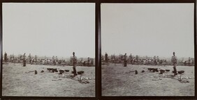 Prisoners cutting stone in the Nairobi plains in September 1910.