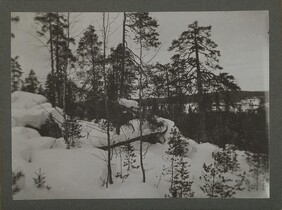 Snow-covered landscape with bay in the background