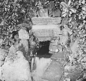 Whilst here of pleasure you partakeâ€¦