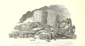 British Library digitised image from page 68 of "Az OsztrÃ¡k-Magyar Monarchia irÃ¡sban Ã©s kÃ©pben. Rudolf trÃ³nÃ¶rÃ¶kÃ¶s fÅ‘herczeg Å ... fensÃ©ge kezdemÃ©nyezÃ©sÃ©bÅ‘l Ã©s kÃ¶zremunkÃ¡lÃ¡sÃ¡val. (Die deutsche Ausgabe redigirt ... J. von Weilen, die ungarische M. JÃ³kai.) H