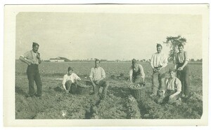 Soldaten rooien aardappelen, s.d. | Soldiers grub for potatoes, date unknown