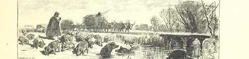 British Library digitised image from page 253 of "Az OsztrÃ¡k-Magyar Monarchia irÃ¡sban Ã©s kÃ©pben. Rudolf trÃ³nÃ¶rÃ¶kÃ¶s fÅ‘herczeg Å ... fensÃ©ge kezdemÃ©nyezÃ©sÃ©bÅ‘l Ã©s kÃ¶zremunkÃ¡lÃ¡sÃ¡val. (Die deutsche Ausgabe redigirt ... J. von Weilen, die ungarische M. JÃ³kai.)